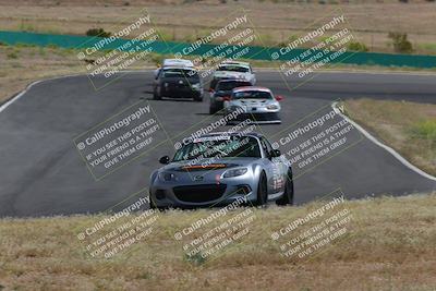 media/May-04-2024-Lucky Dog Racing (Sat) [[d39539b3f3]]/Race Pics/1015am (Turn 2)/